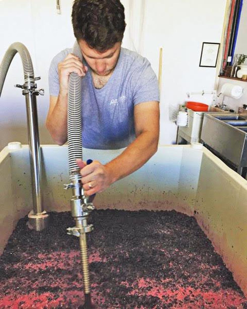 A man maneuvers a large hose contraption into a massive sink of grapes
