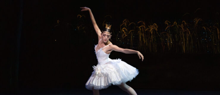 a female dancer in a white swan tutu lunging on stage with her arms spread open