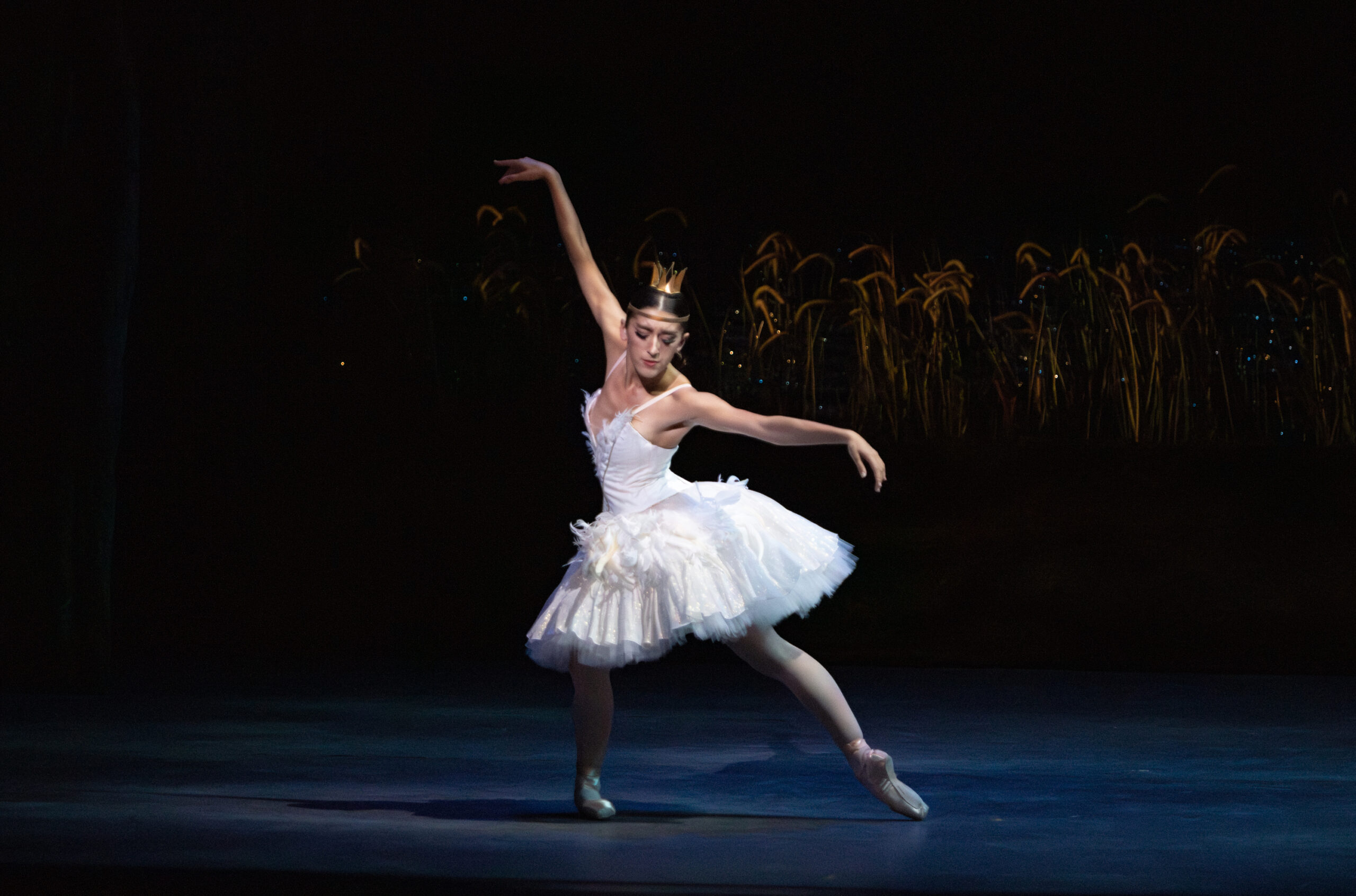 a female dancer in a white swan tutu lunging on stage with her arms spread open