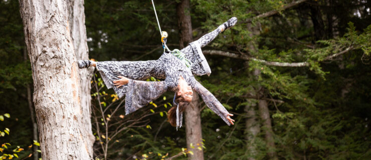 A Nimble Arts aerialist suspended upside down with one foot against a large tree trunk