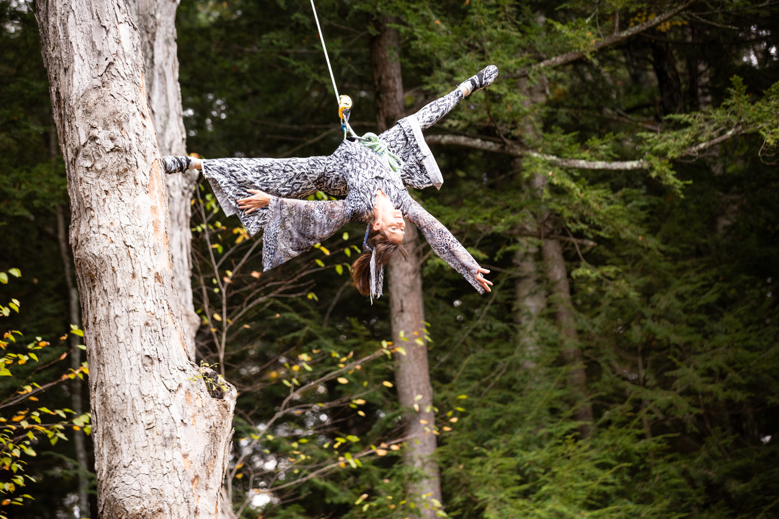 A Nimble Arts aerialist suspended upside down with one foot against a large tree trunk