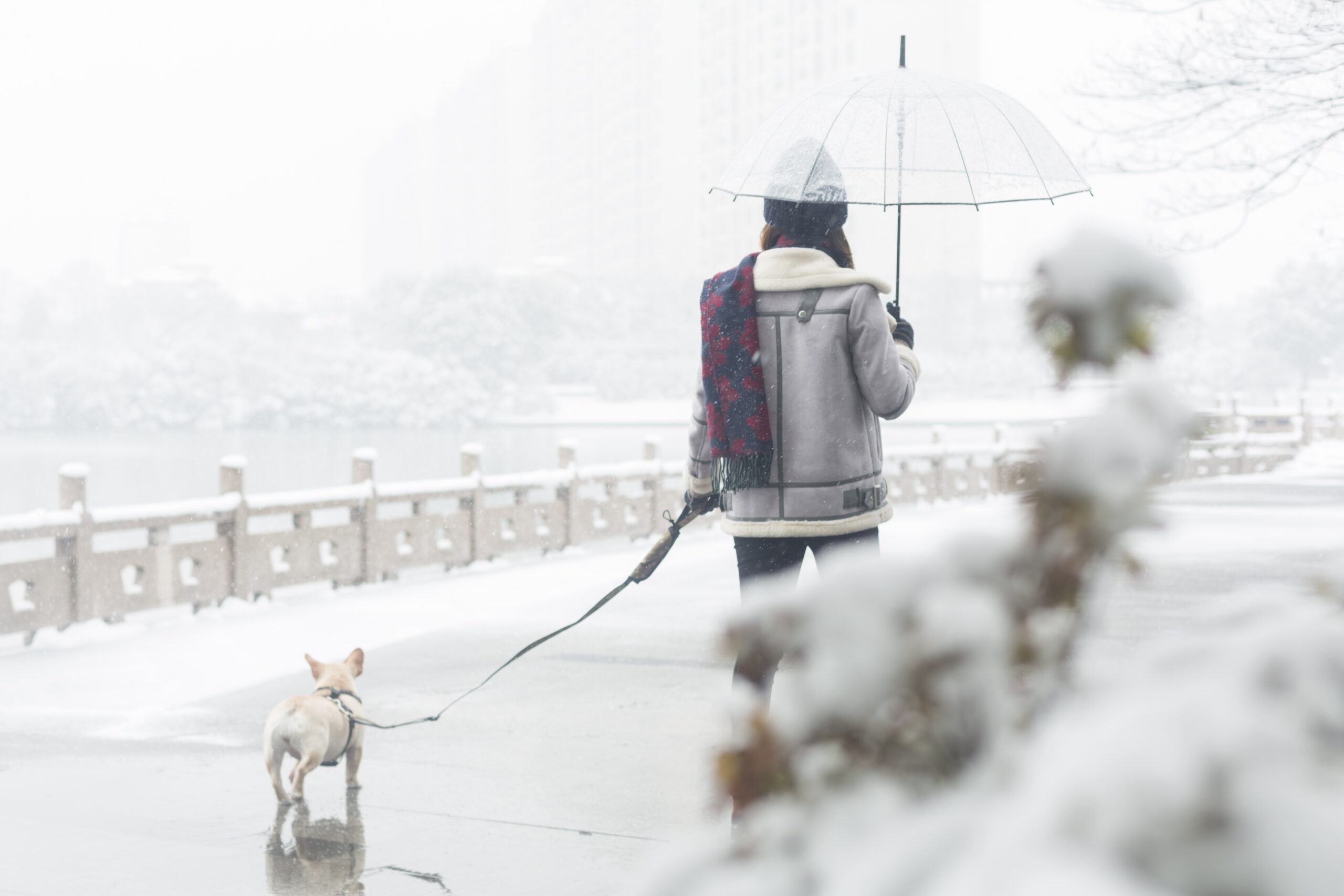 a woman walking her dog in a park carrying an umbrella and bundled in a coat and scarf