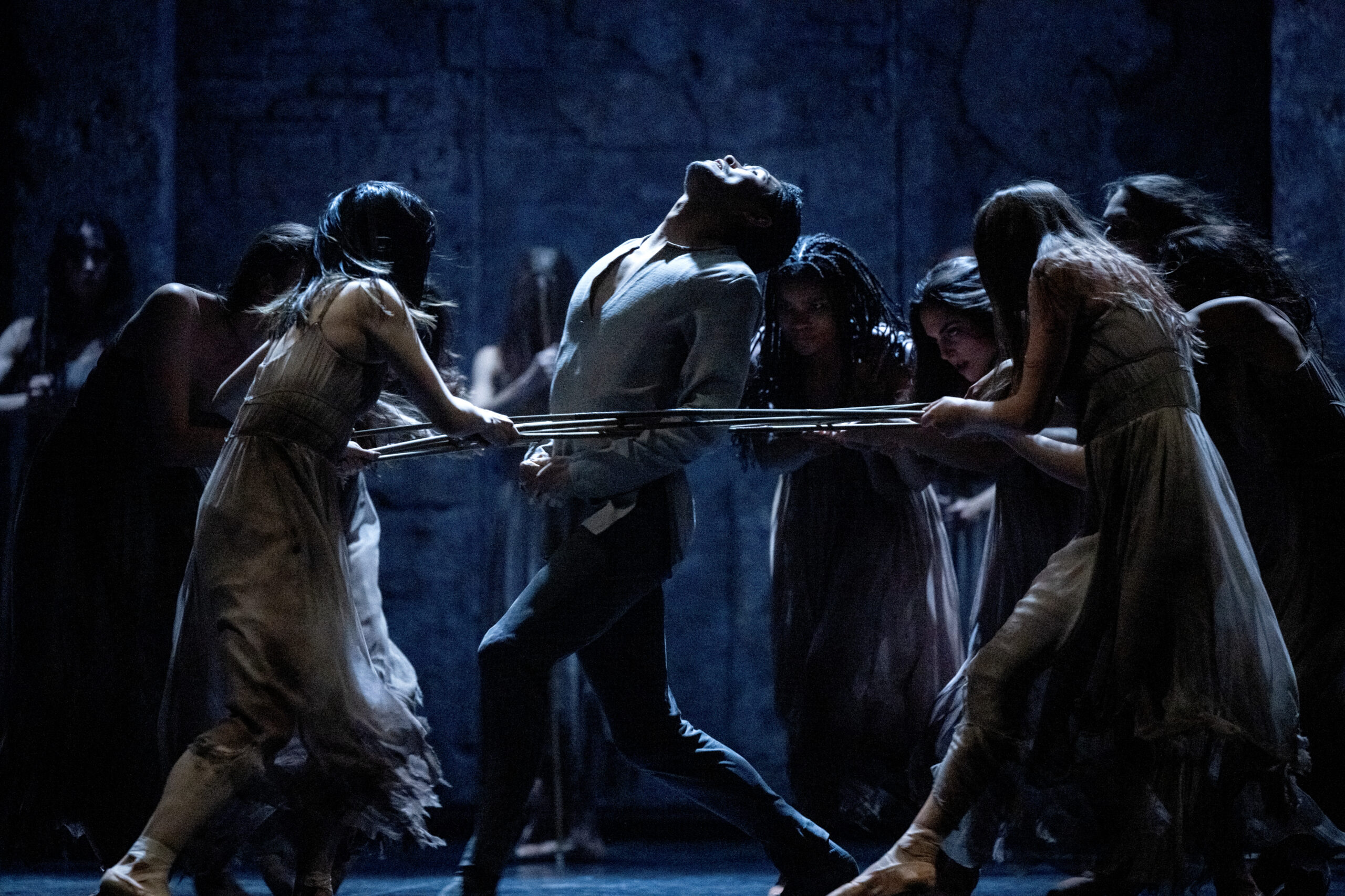A male dancer arches back in exhausted agony as he is entrapped by long sticks wielded by a half dozen wilis, whose hair is loose and wild over their ragged dresses.